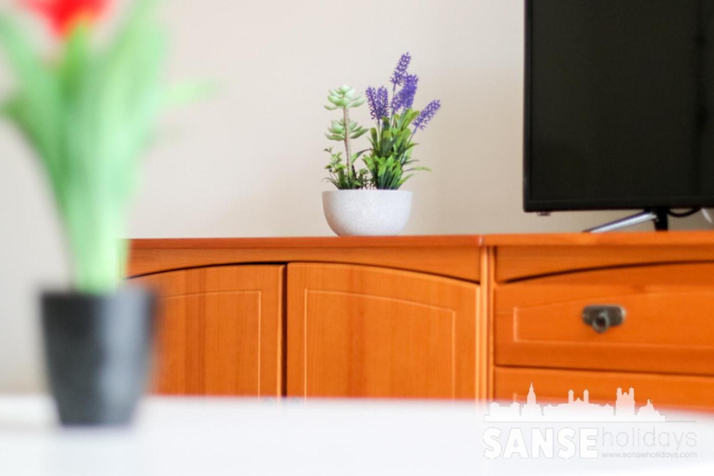 Colon By Sanse Holidays * San Sebastian